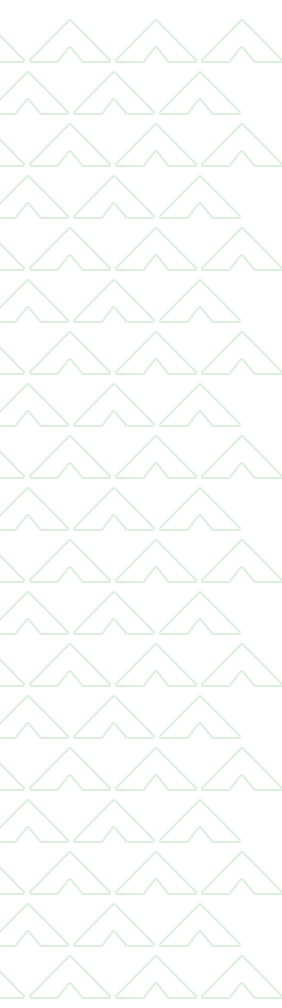 forte-deco-pattern-green - The Ryan Bartel Foundation