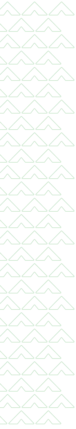 Decorative Element_ Pattern (3)