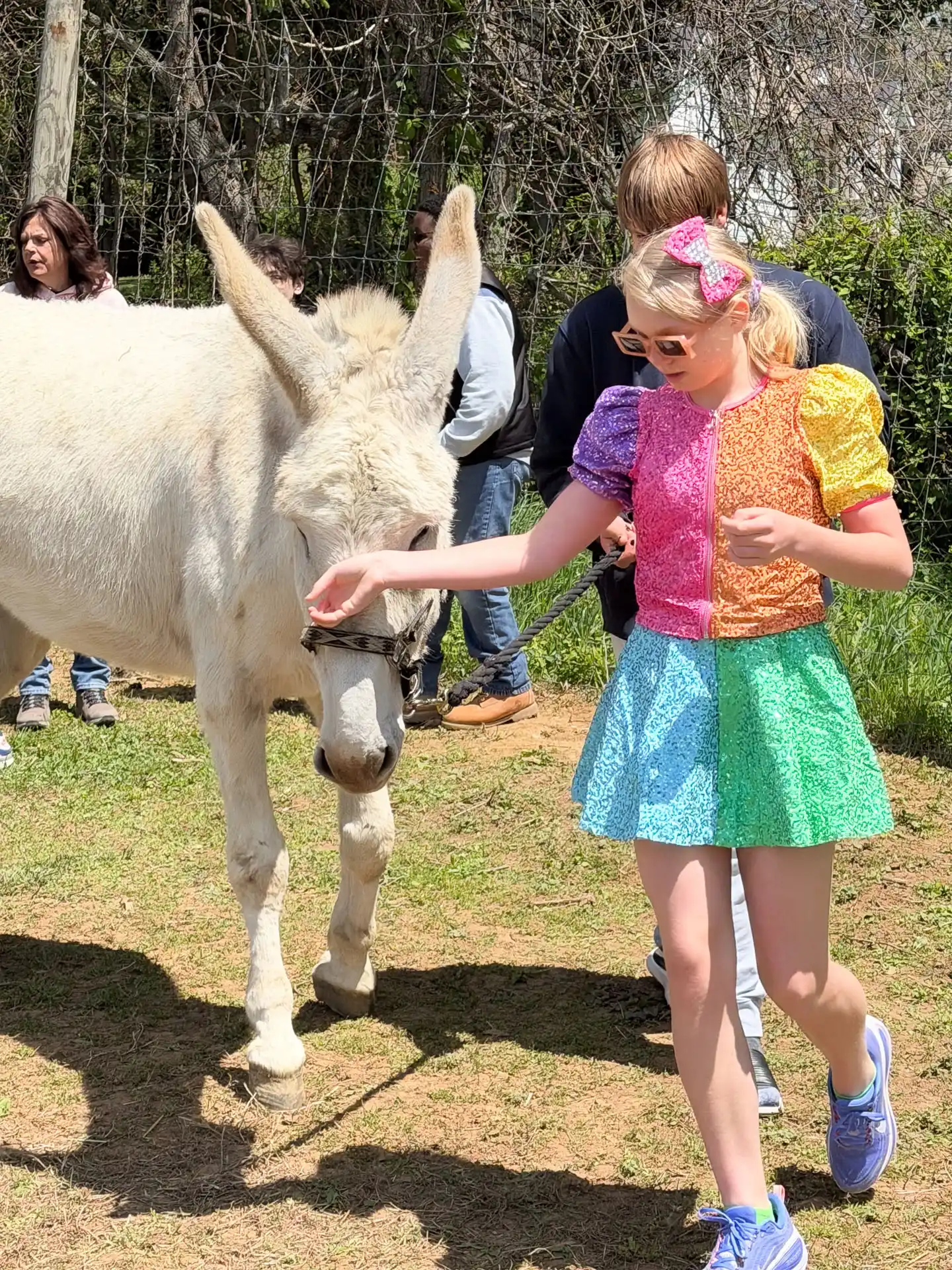 IMG_0069_FORT-Animals-2 - The Ryan Bartel Foundation